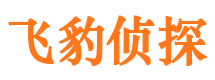 成都市私人调查